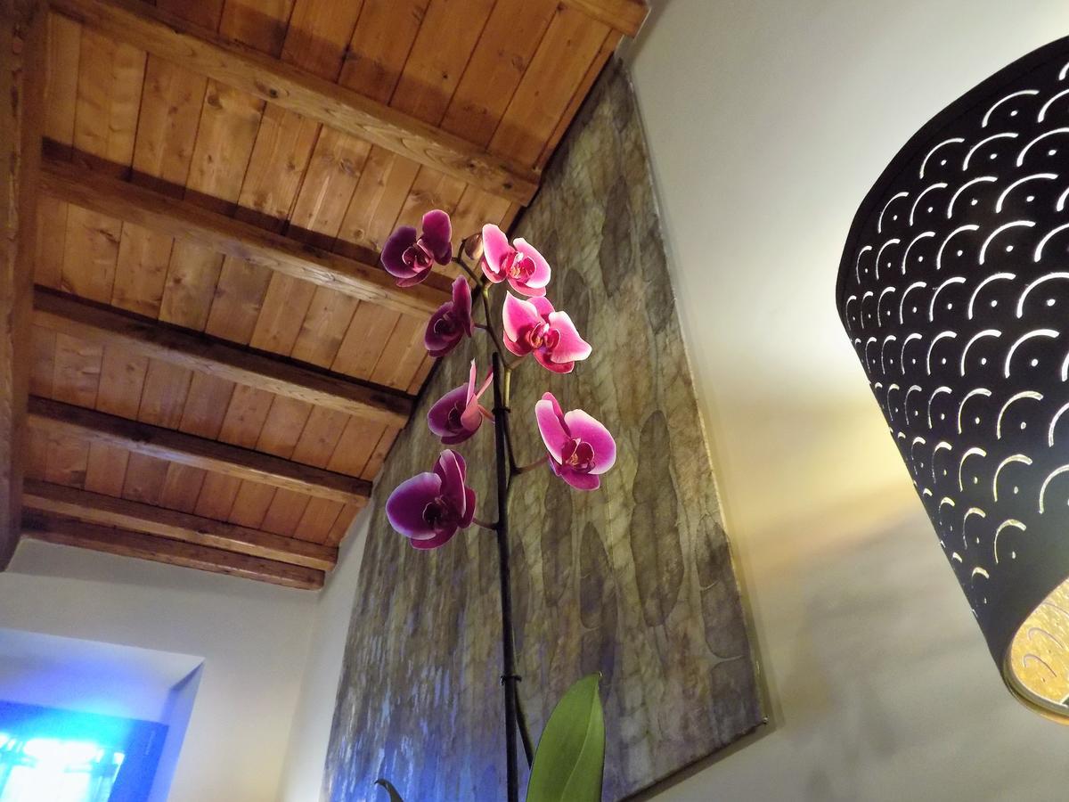 Al Cardinale Bed and Breakfast Βιτέρμπο Εξωτερικό φωτογραφία